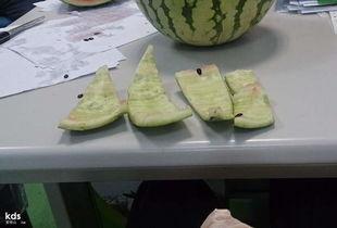 怎样和同事吃瓜,与同事共享“吃瓜”时光