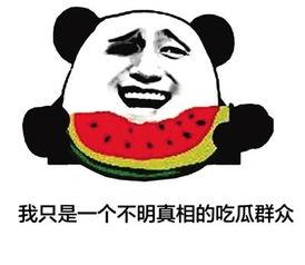 吃瓜群众网络语言,揭秘娱乐圈那些事儿