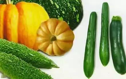 吃瓜住户802,揭秘802号吃瓜住户的神秘生活