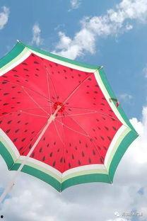 野生雨伞带你吃瓜,尽享夏日美味之旅