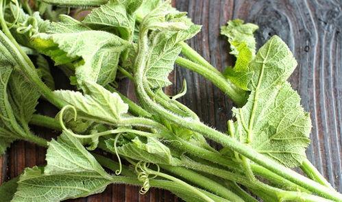 吃瓜尖中毒,警惕夏日常见食品安全隐患