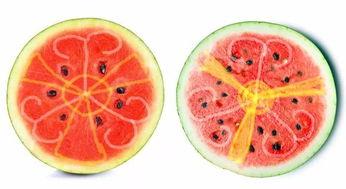 吃小瓜呕吐,美味与不适的奇妙碰撞